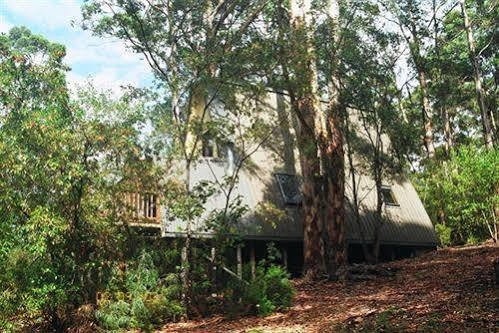 Green Leaves Cabin デンマーク エクステリア 写真